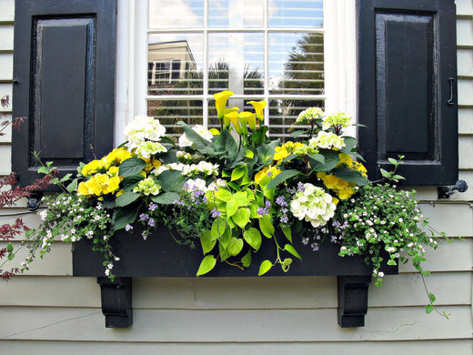 How to Choose the Perfect Planter Box: A Guide to Styles, Uses, and Benefits