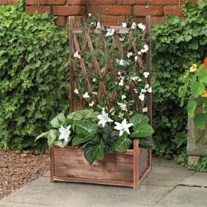 Rustic Wooden Raised Garden Bed Vegetable Planter Grid Box with Climbing Trellis